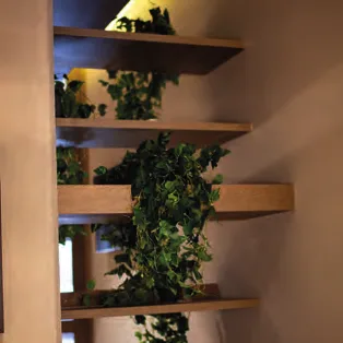 Planted Display Shelving