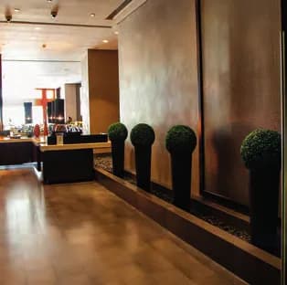 Lobby Topiary
